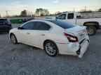 2010 NISSAN Maxima