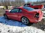 1999 FORD MUSTANG
