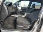 2010 FORD ESCAPE