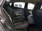 2013 DODGE Dart