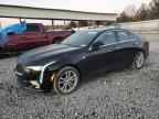 2024 CADILLAC CT4