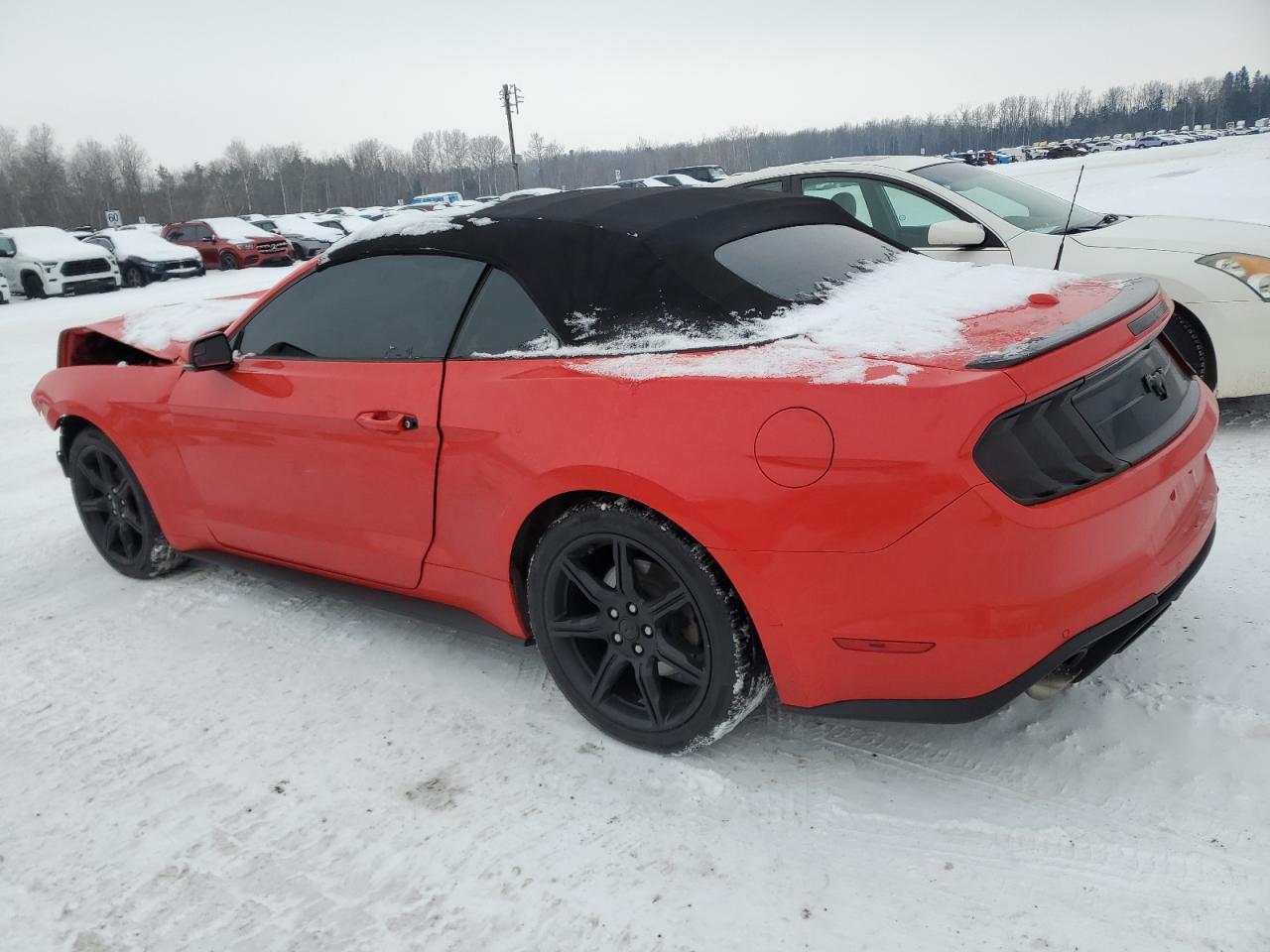 2019 FORD MUSTANG