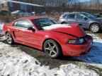 1999 FORD MUSTANG