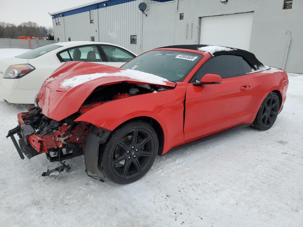 2019 FORD MUSTANG