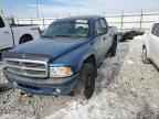 2004 DODGE Dakota