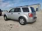 2010 FORD ESCAPE