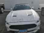 2023 FORD MUSTANG
