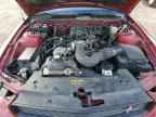 2009 FORD MUSTANG