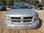 2011 DODGE Dakota