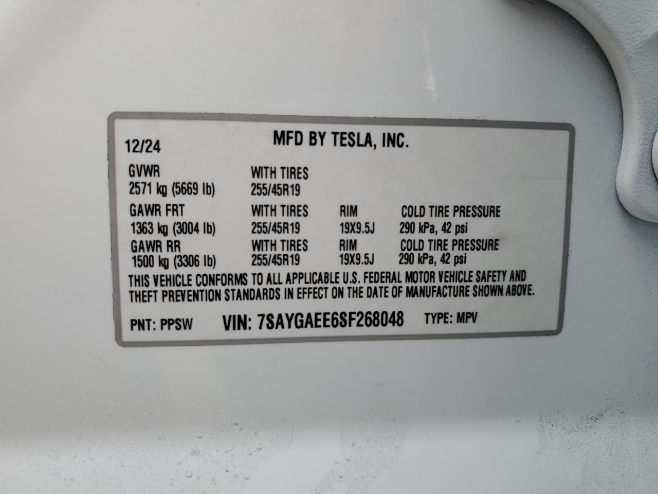2025 TESLA MODEL Y