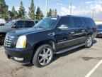 2008 CADILLAC ESCALADE