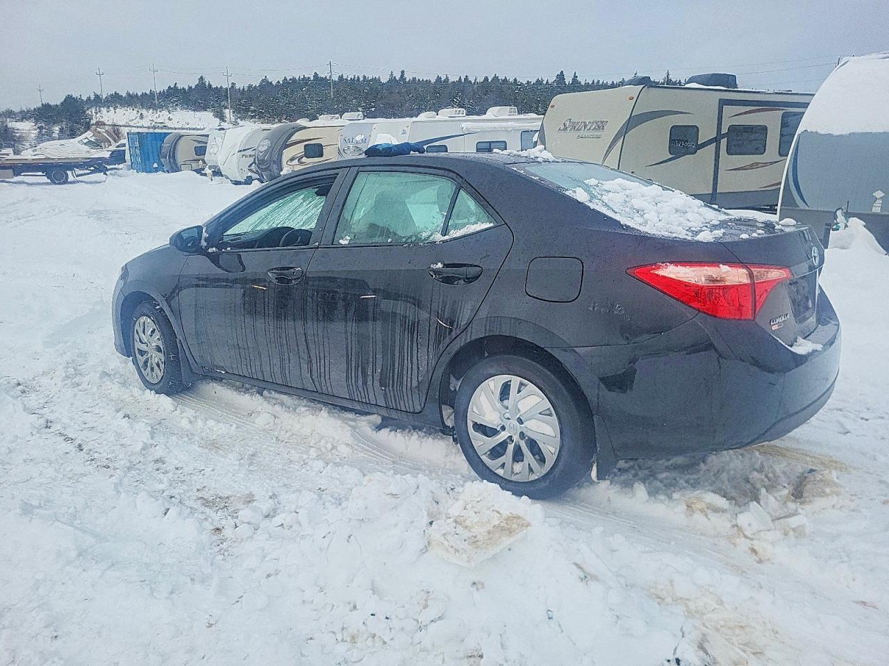 2019 TOYOTA COROLLA
