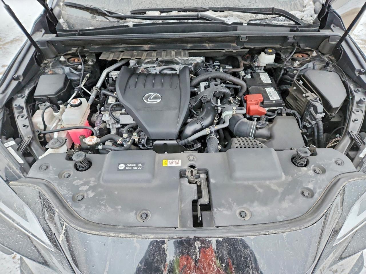 2023 LEXUS NX 350