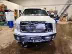 2009 FORD F-150