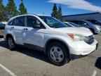 2010 HONDA CR-V
