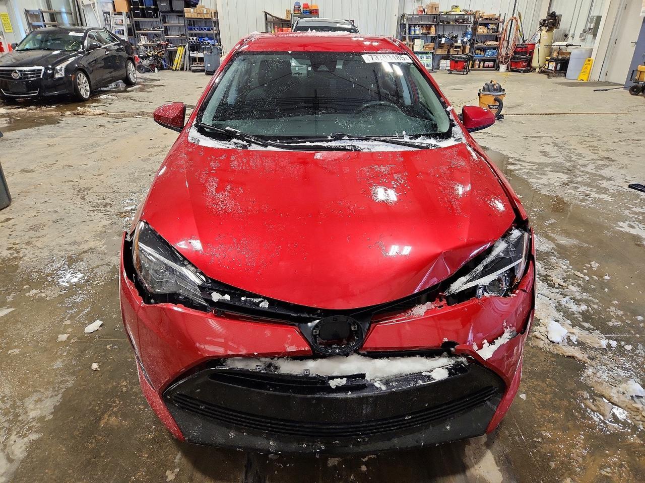 2019 TOYOTA COROLLA
