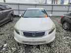 2010 HONDA ACCORD
