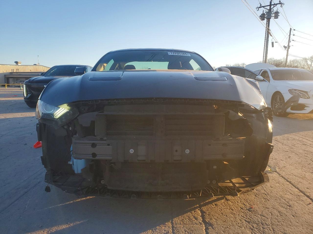 2019 FORD MUSTANG