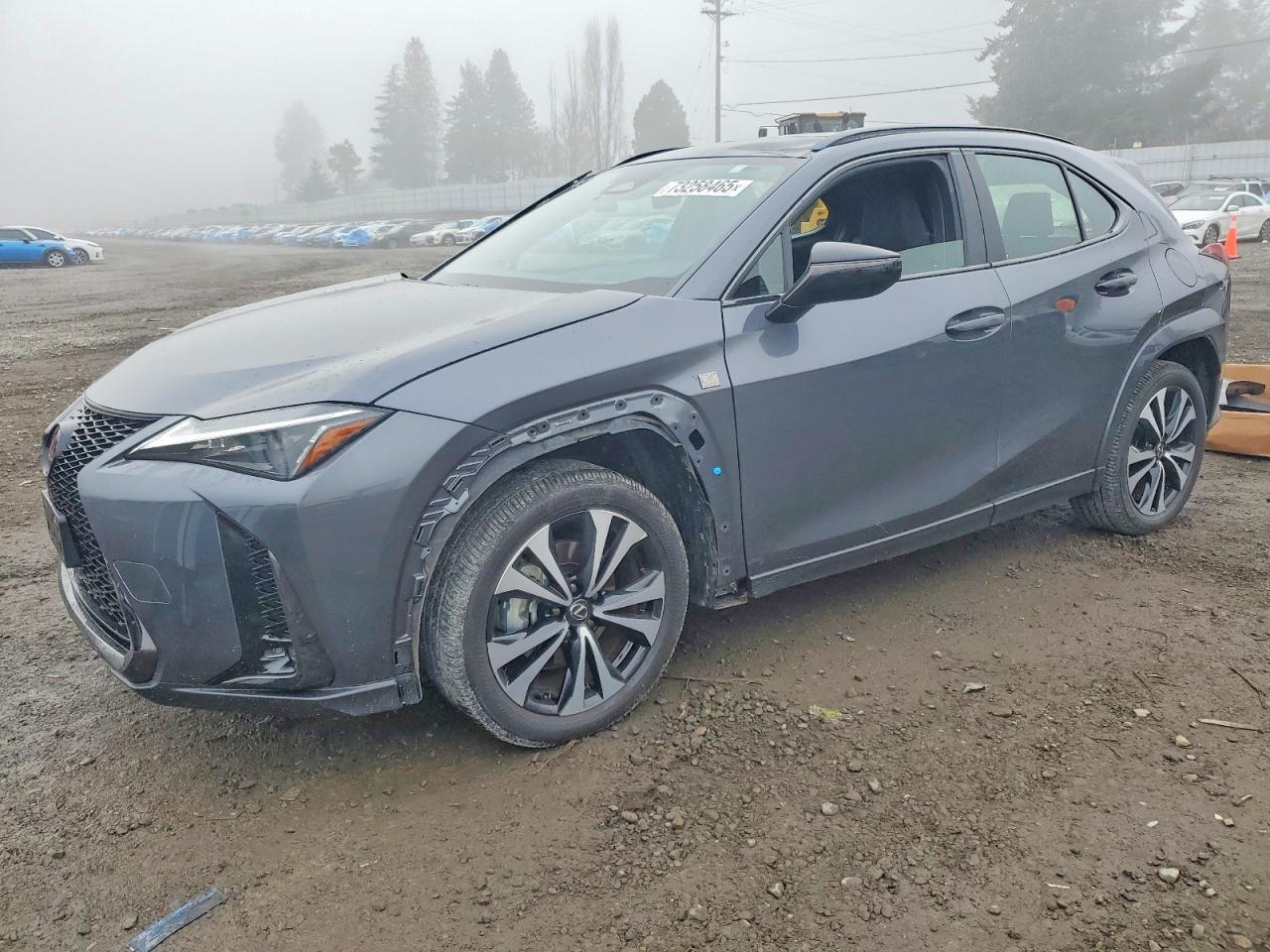 2025 LEXUS UX 300H