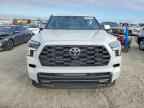2023 TOYOTA Sequoia