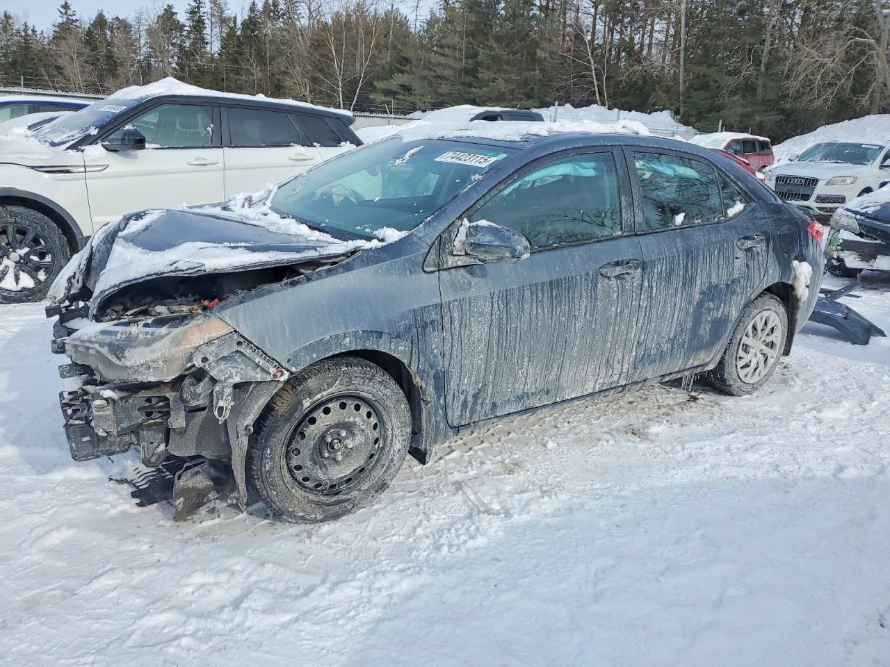 2019 TOYOTA COROLLA
