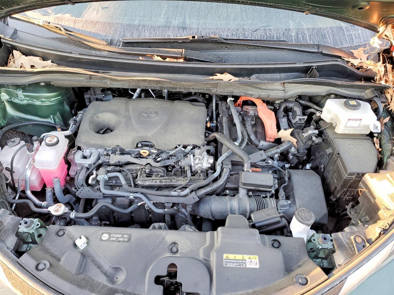 2023 TOYOTA SIENNA