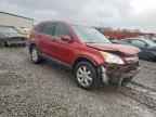 2007 HONDA CR-V