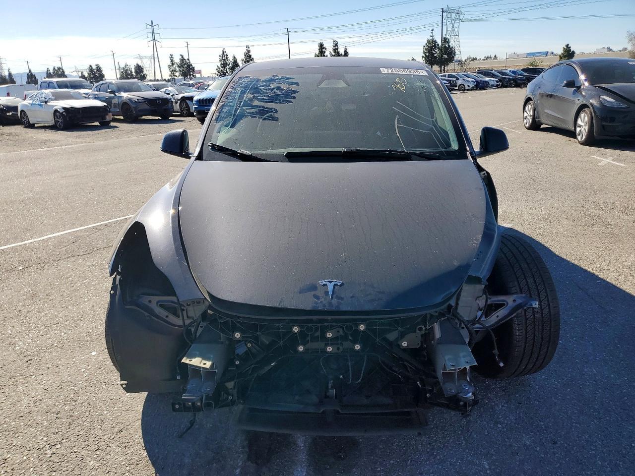 2024 TESLA MODEL Y