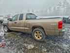 2010 DODGE Dakota