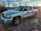 2005 DODGE Dakota