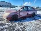 2006 TOYOTA COROLLA