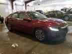 2020 HONDA Insight
