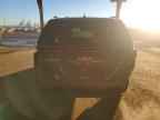 2026 KIA Carnival