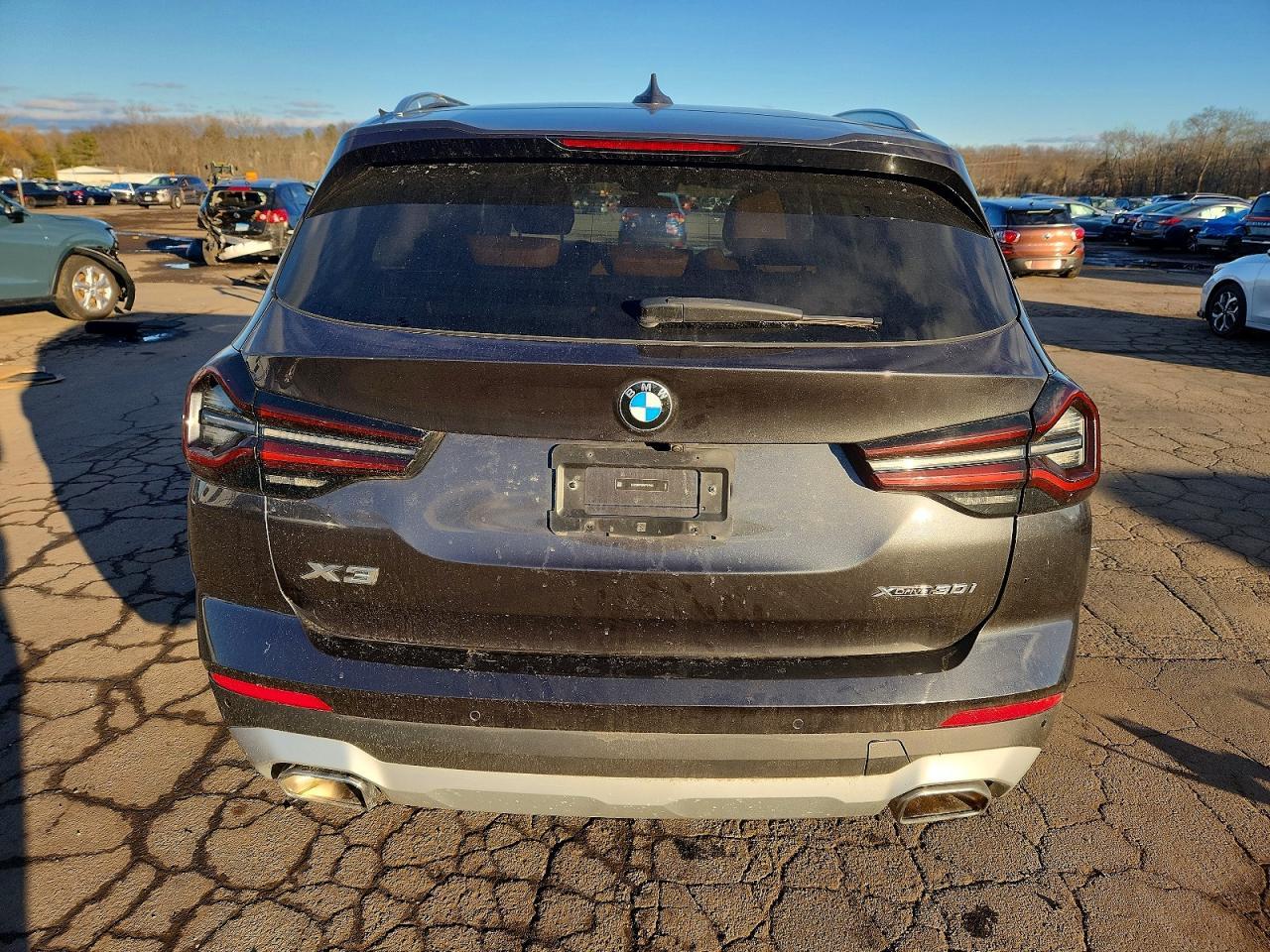2024 BMW X3