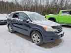 2010 HONDA CR-V