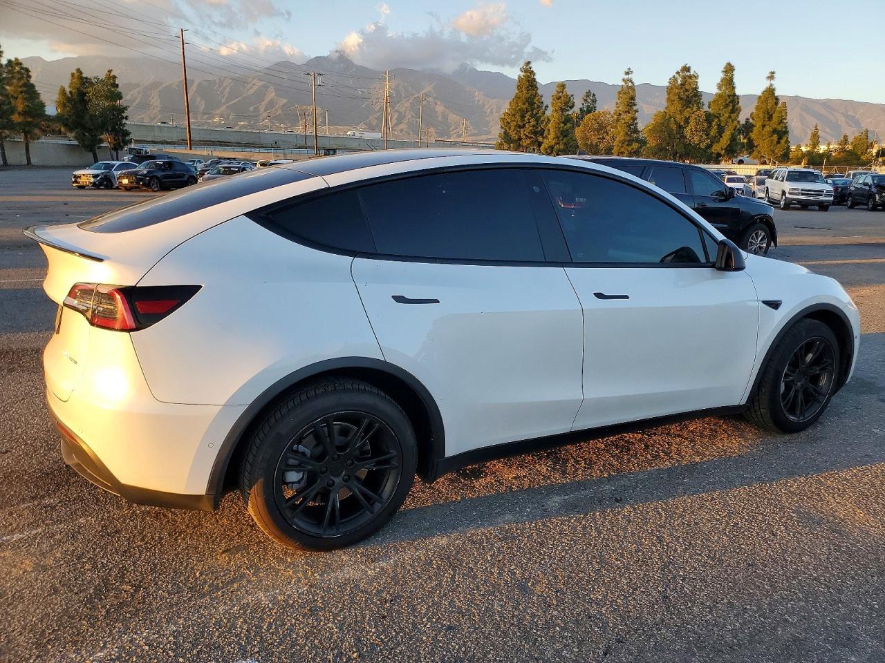 2020 TESLA MODEL Y