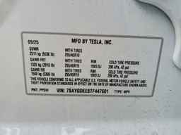 2026 TESLA MODEL Y
