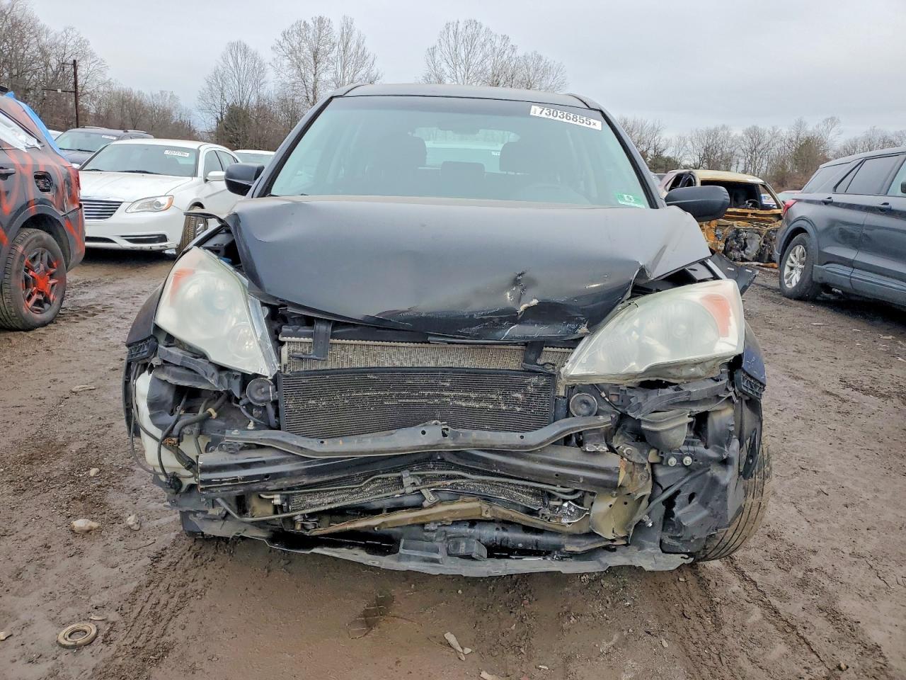 2010 HONDA CR-V