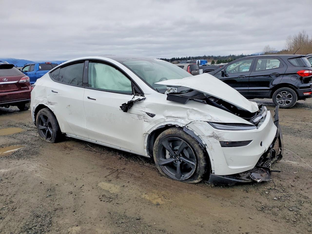2026 TESLA MODEL Y