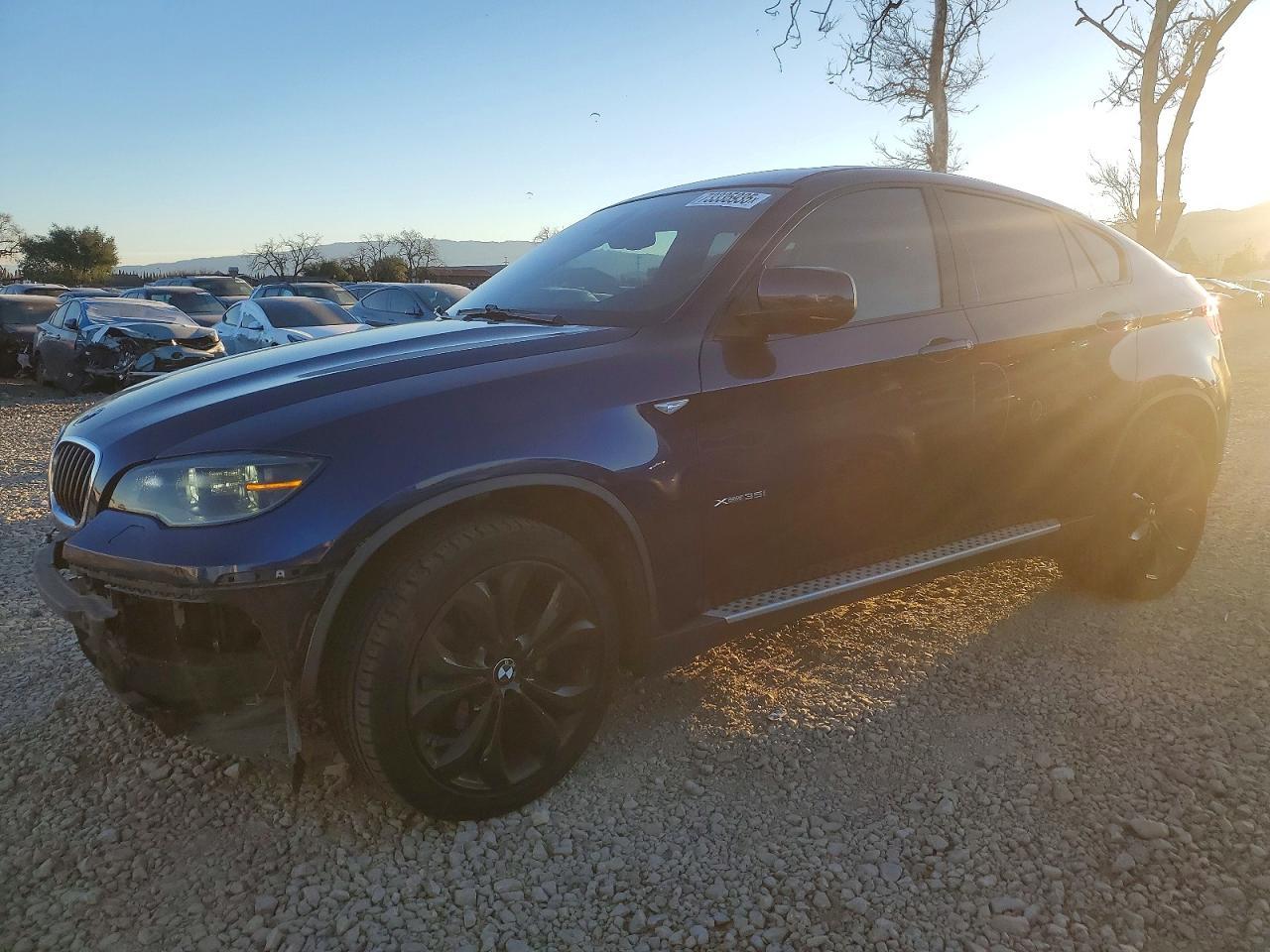 2013 BMW X6