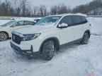 2023 HONDA Passport