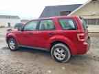 2009 FORD ESCAPE