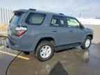 2024 TOYOTA 4Runner