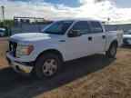 2014 FORD F-150 Lightning