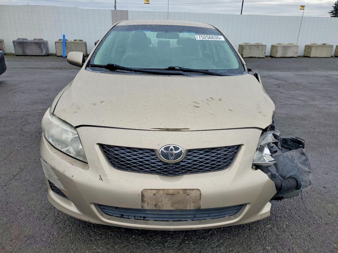 2010 TOYOTA COROLLA