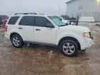 2010 FORD ESCAPE