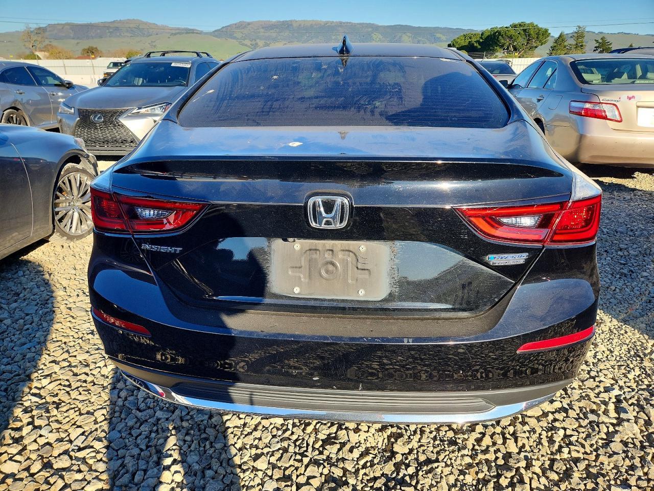 2019 HONDA Insight