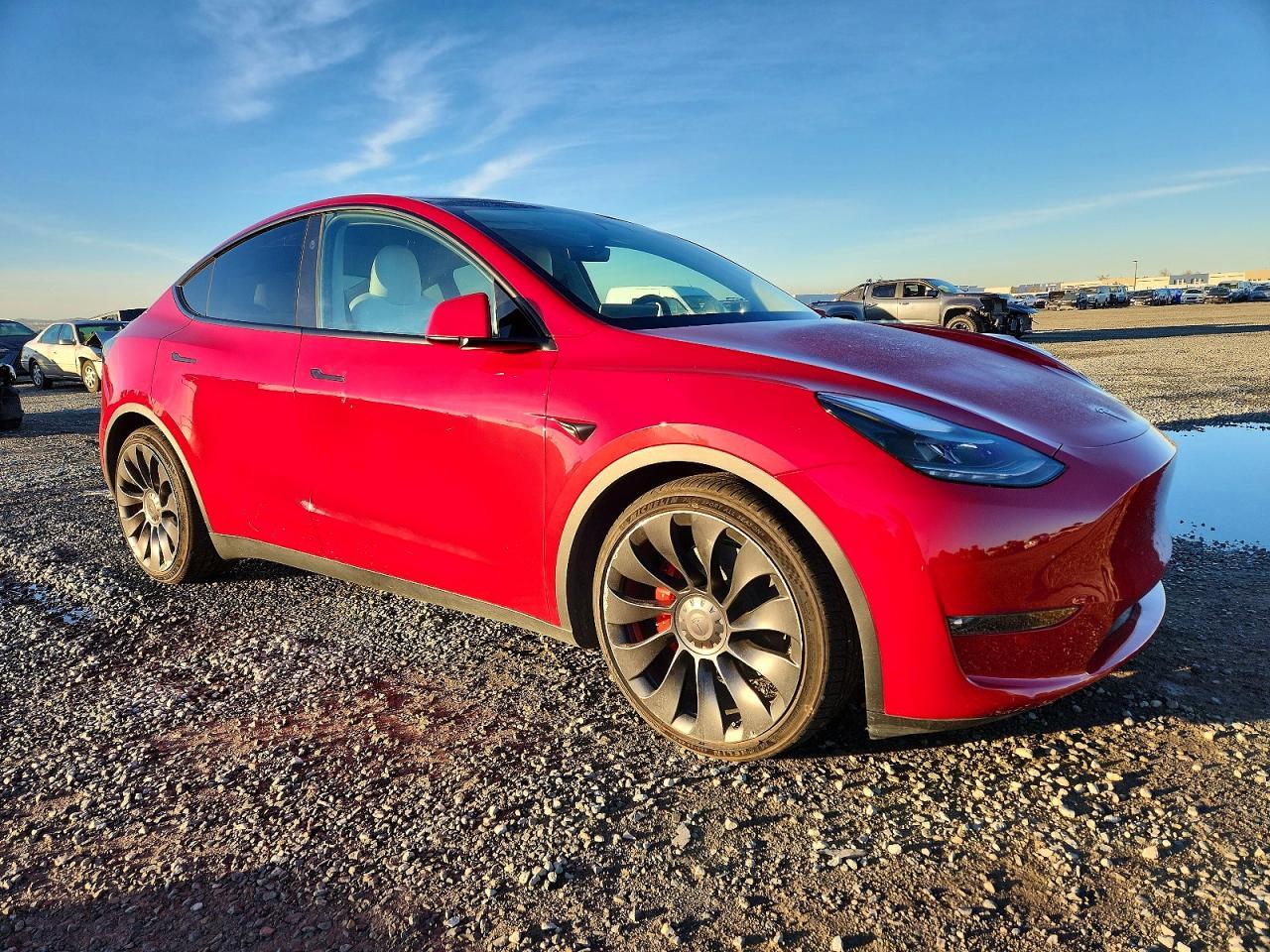 2023 TESLA MODEL Y