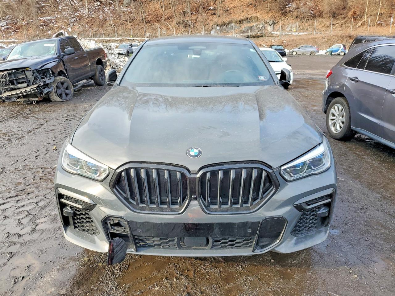 2022 BMW X6