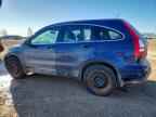 2007 HONDA CR-V